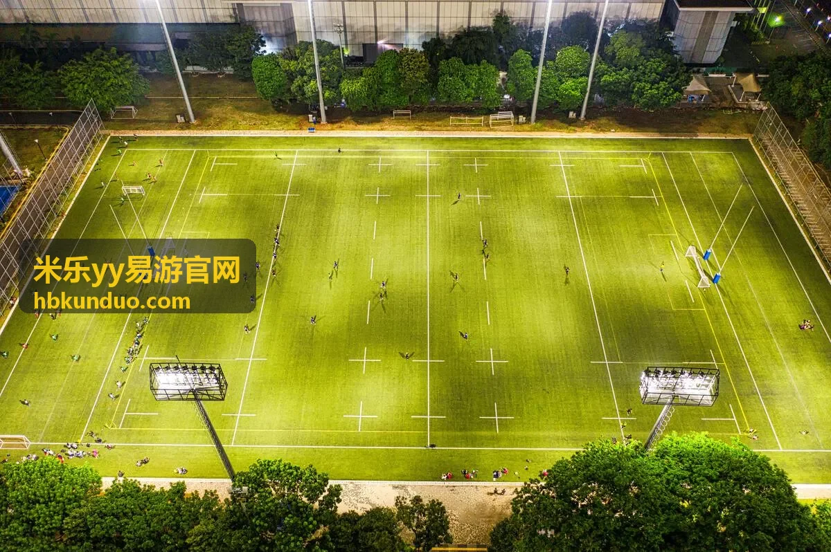 米乐yy易游官网新手引导示意，展示从基础规则到进阶玩法的操作路径